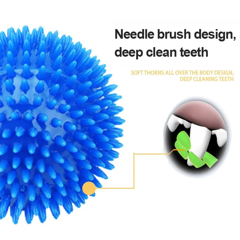 TPR hedgehog ball: Dental hygiene, interactive play for puppies.