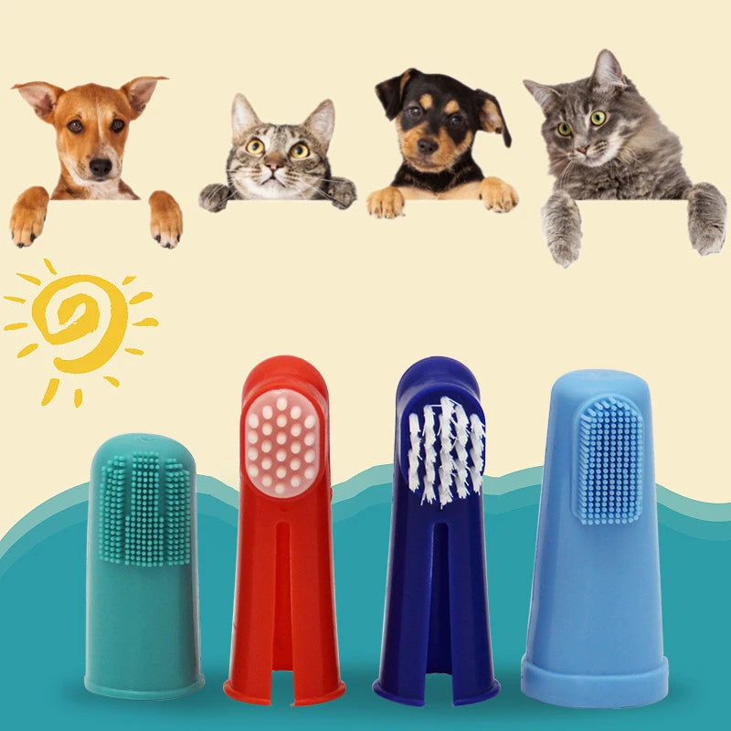 Pet Toothbrush: Maintain Your Pet's Dental Health with Ease!