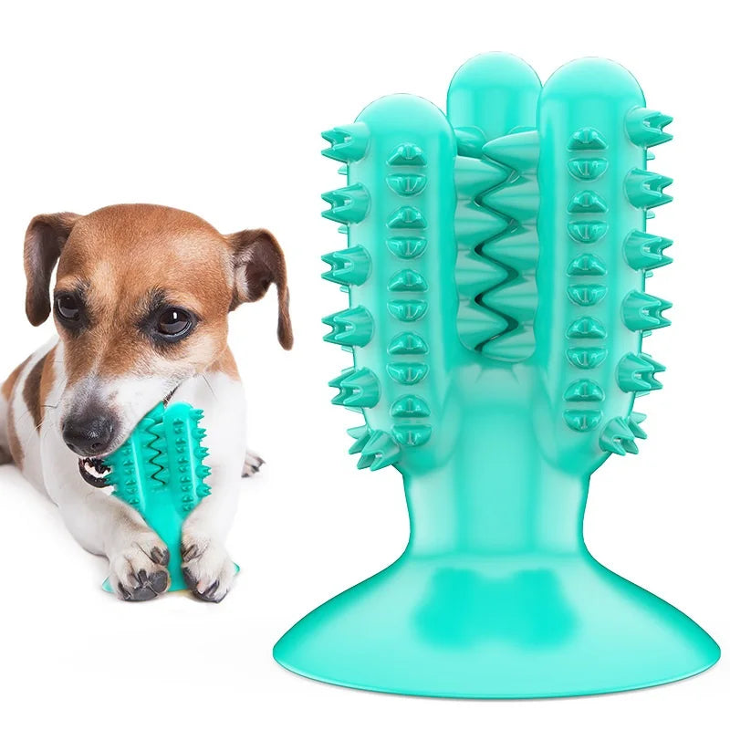 Chew Toys: Teeth cleaning, molar stick, indestructible, small-medium dogs.