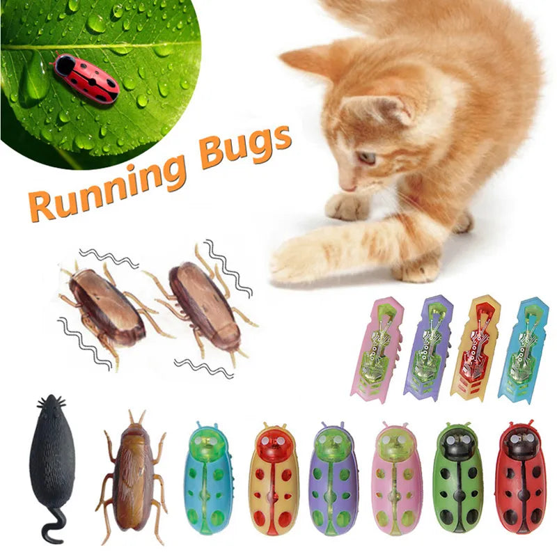 Electric Bug Cat Toy: Vibrating insect toy for cats.