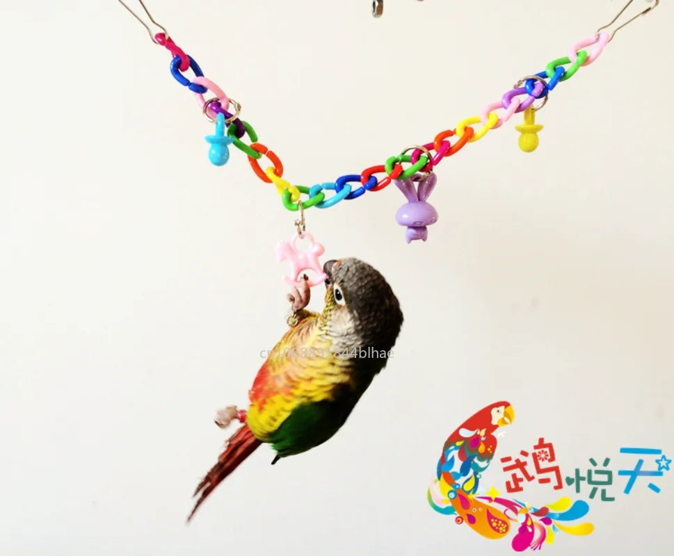 Colorful Parrot Toys: Hanging Swing Chain Exercise Accessories