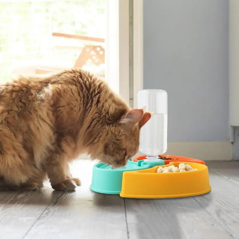 Detachable Cat Bowls: Convenient Feeding Solution for Your Cat!