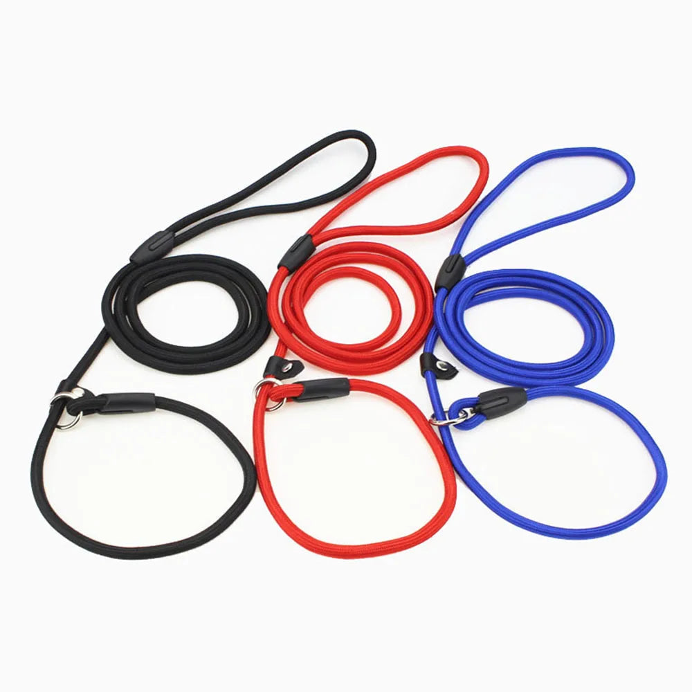 Chains Collar Leads: Pet Training Leash for Small Dogs, Traction Rope