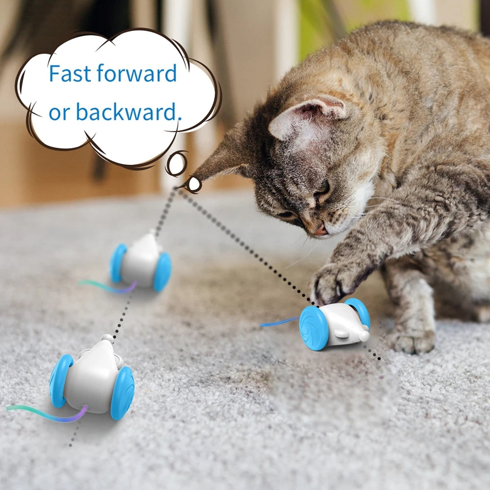 Interactive motorized cat toy: Engaging snake playtime, self-controlled.