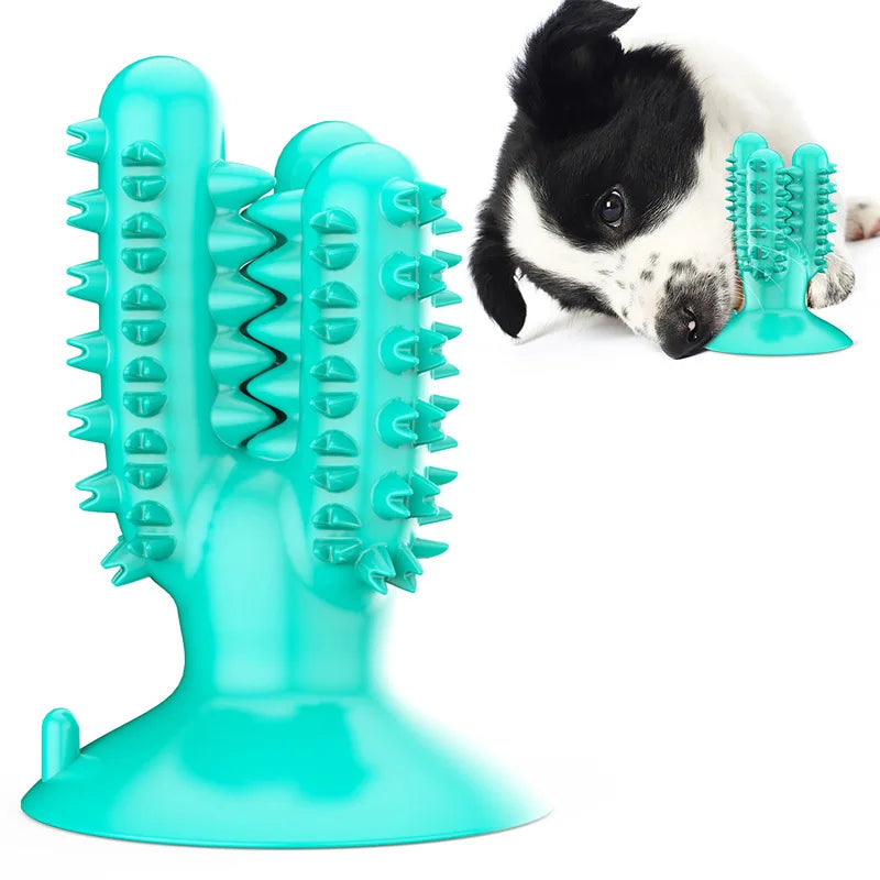 Chew Toys: Teeth cleaning, molar stick, indestructible, small-medium dogs.