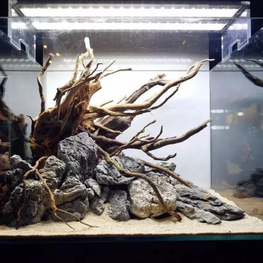 Natural Aquarium Ornament: Bring Nature into Your Fish Tank!