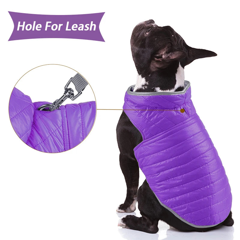 Reflective Winter Pet Clothes: Night Reflective, Keep Warm