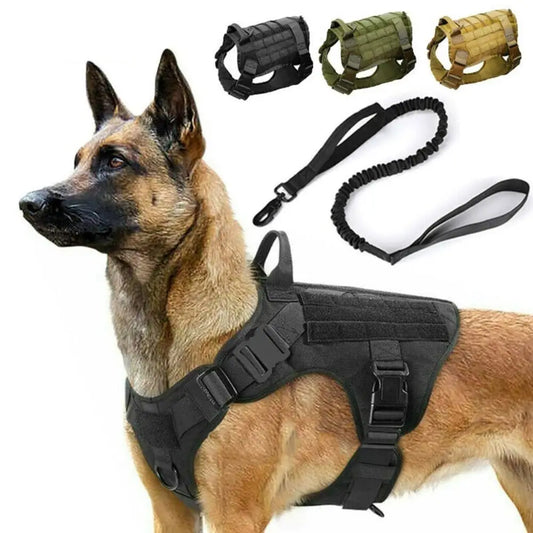 Tactical dog vest: Light harness for pets.