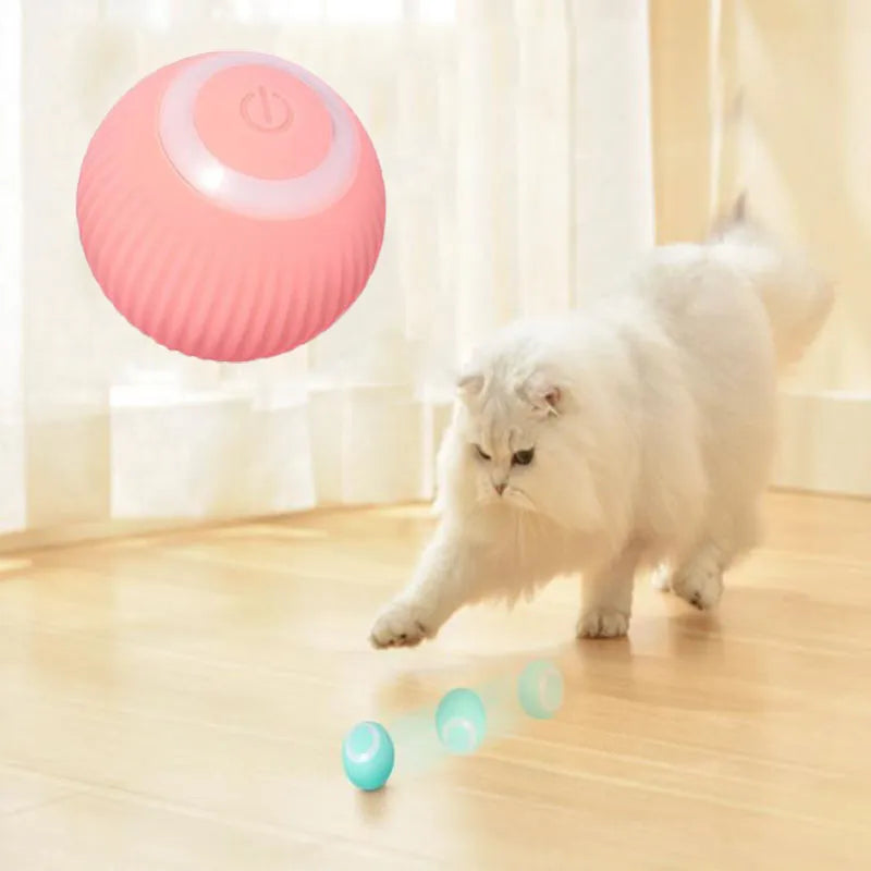 Electric Cat Ball Toys: Automatic rolling, smart, for indoor play.