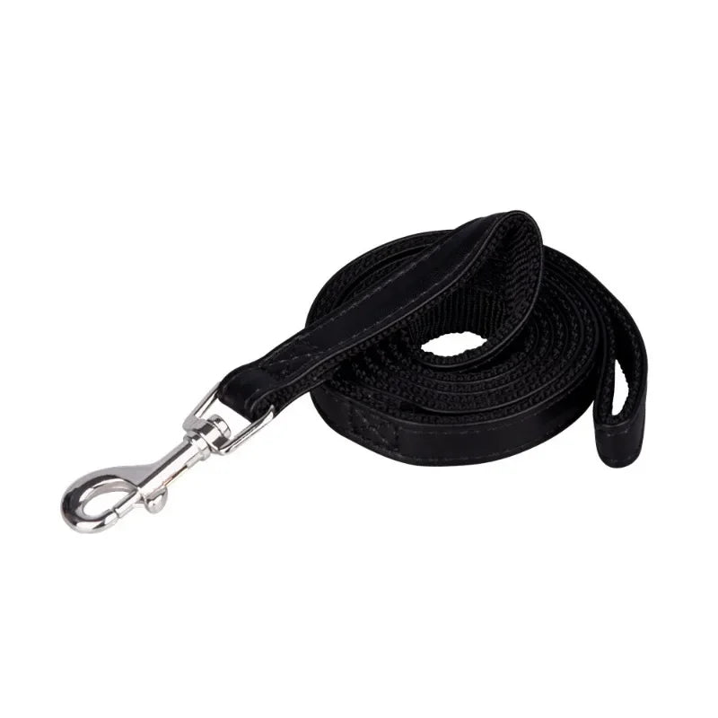 Pet Leash: Super Soft Handle, Heavy-Duty Nylon, Daily Use.