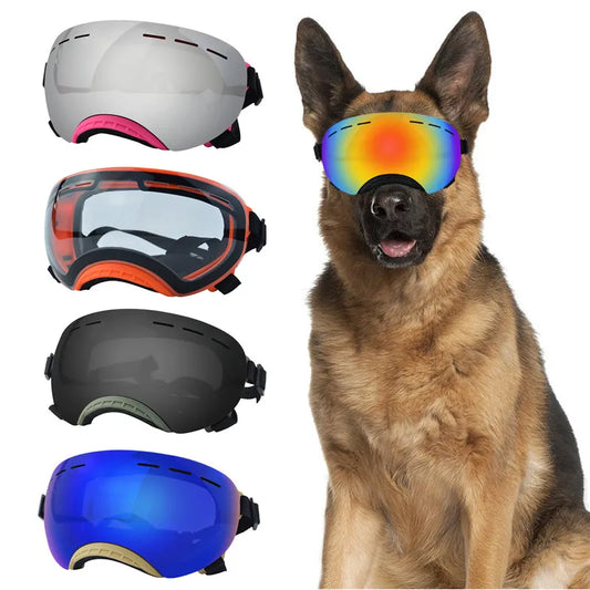 Pet goggles: Wind protection for adventurous dogs.