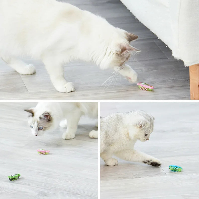 Electric Bug Cat Toy: Vibrating insect toy for cats.