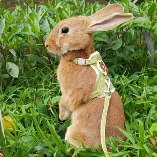 Newest Cute Rabbit Harness and Leash Set: Bunny Pet Accessories