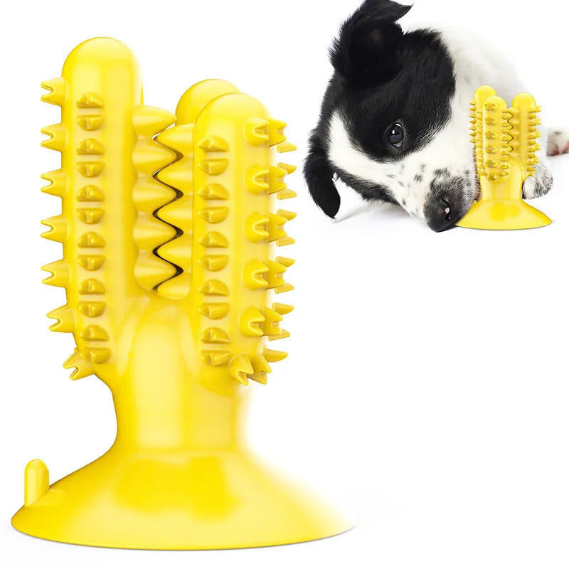 Chew Toys: Teeth cleaning, molar stick, indestructible, small-medium dogs.