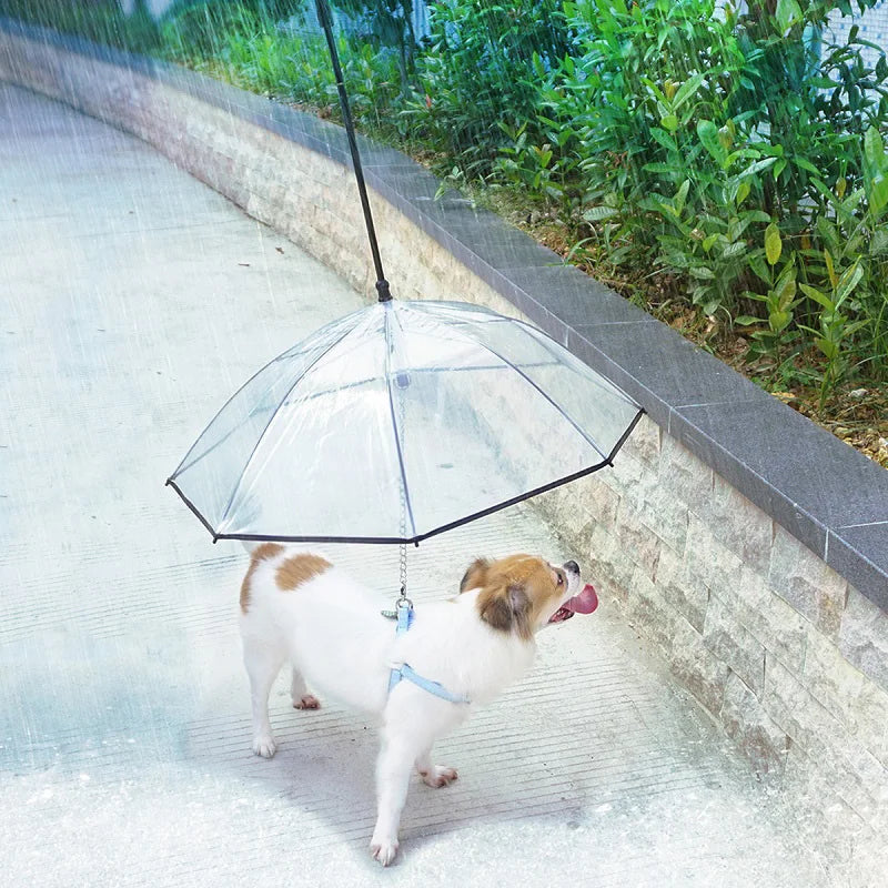 Transparent pet umbrella leash: Keep pets dry during walks.