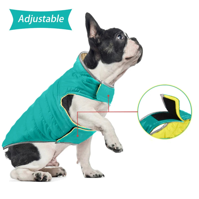 Reflective Winter Pet Clothes: Night Reflective, Keep Warm