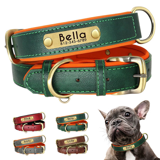 Custom Pet Collar: Personalized, stylish, for dogs and cats.