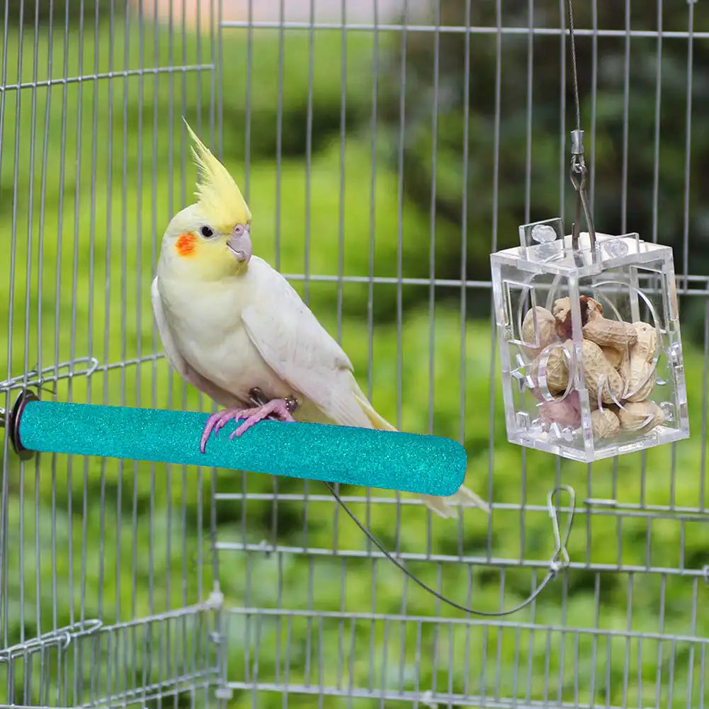 Parrot Grinding Stand: Maintain Your Bird's Beak Health!