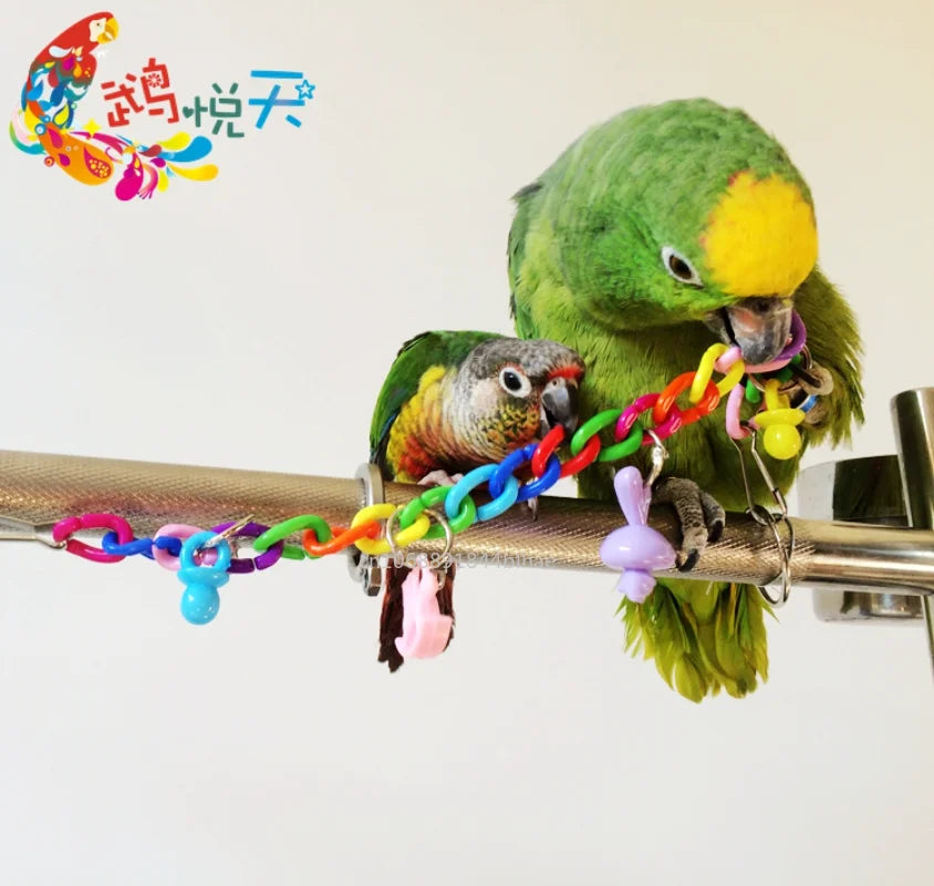 Colorful Parrot Toys: Hanging Swing Chain Exercise Accessories