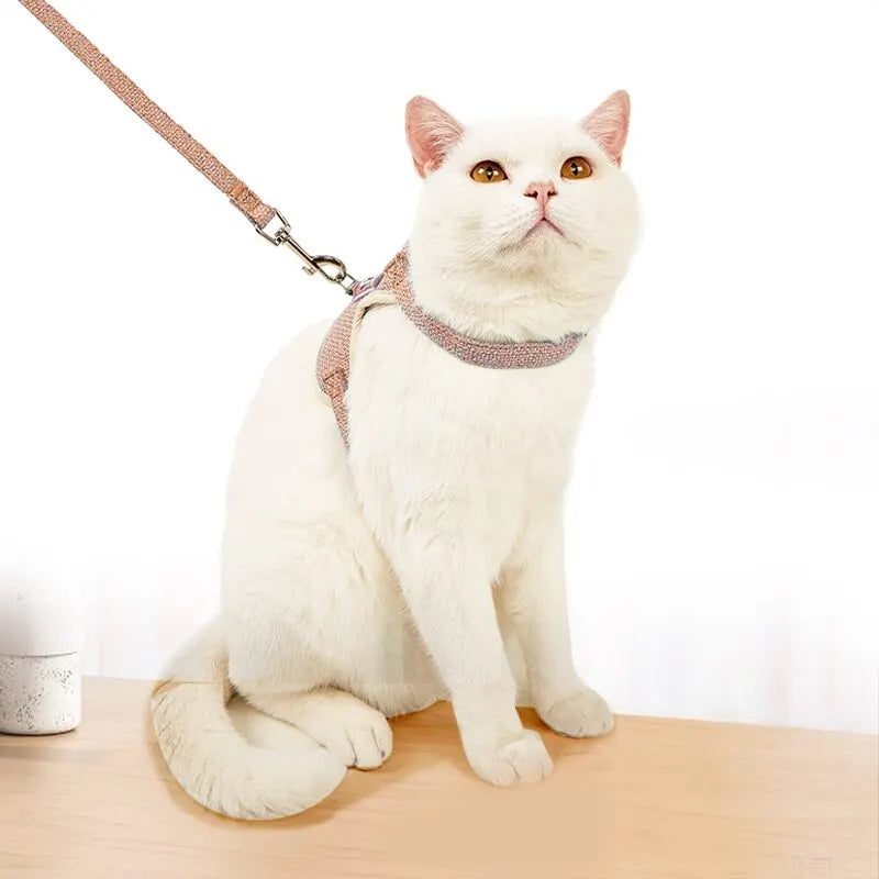 Cute Vest Leash: Breathable, adjustable, for small pets, kittens.