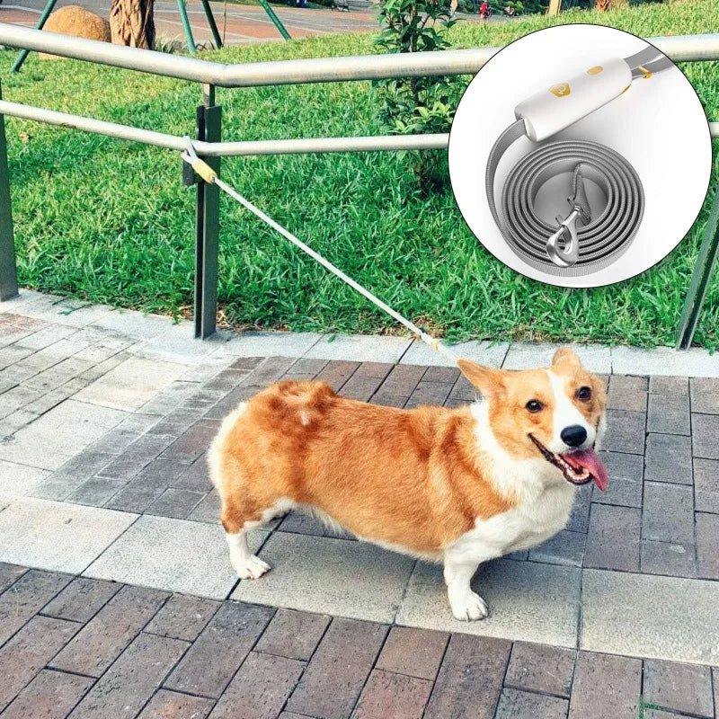 Retractable Leash: Easy-tie, anti-lost, hands-free, 6ft length, with handle.