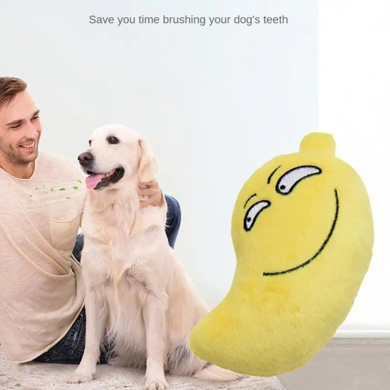 Dog Toys: Green Avocado, Funny Squeaky Toys