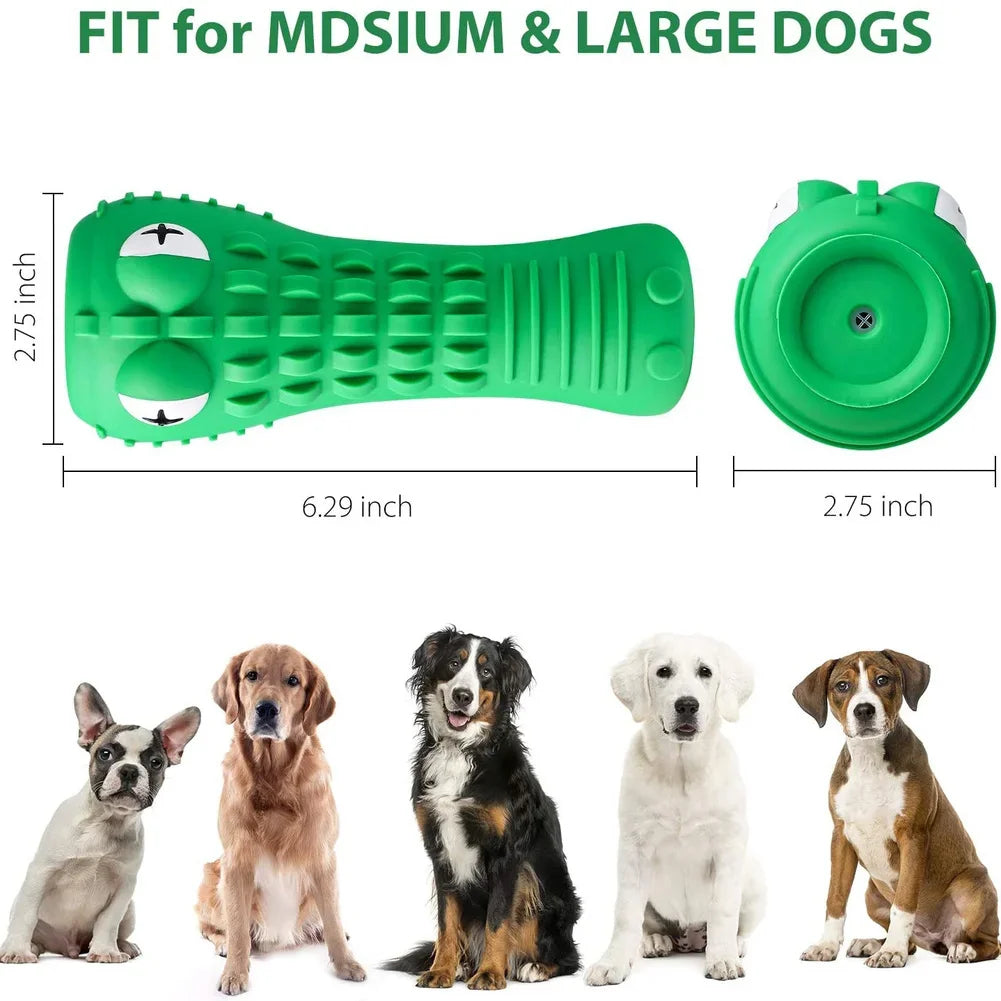 Indestructible Squeaky Toys: For aggressive chewers, teeth cleaning.