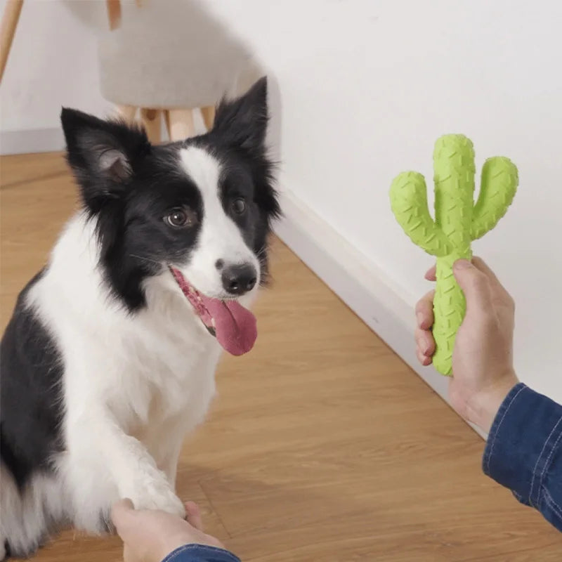 Eco-Friendly Cactus Dog Chew Toy: Tough Training and Cleaning