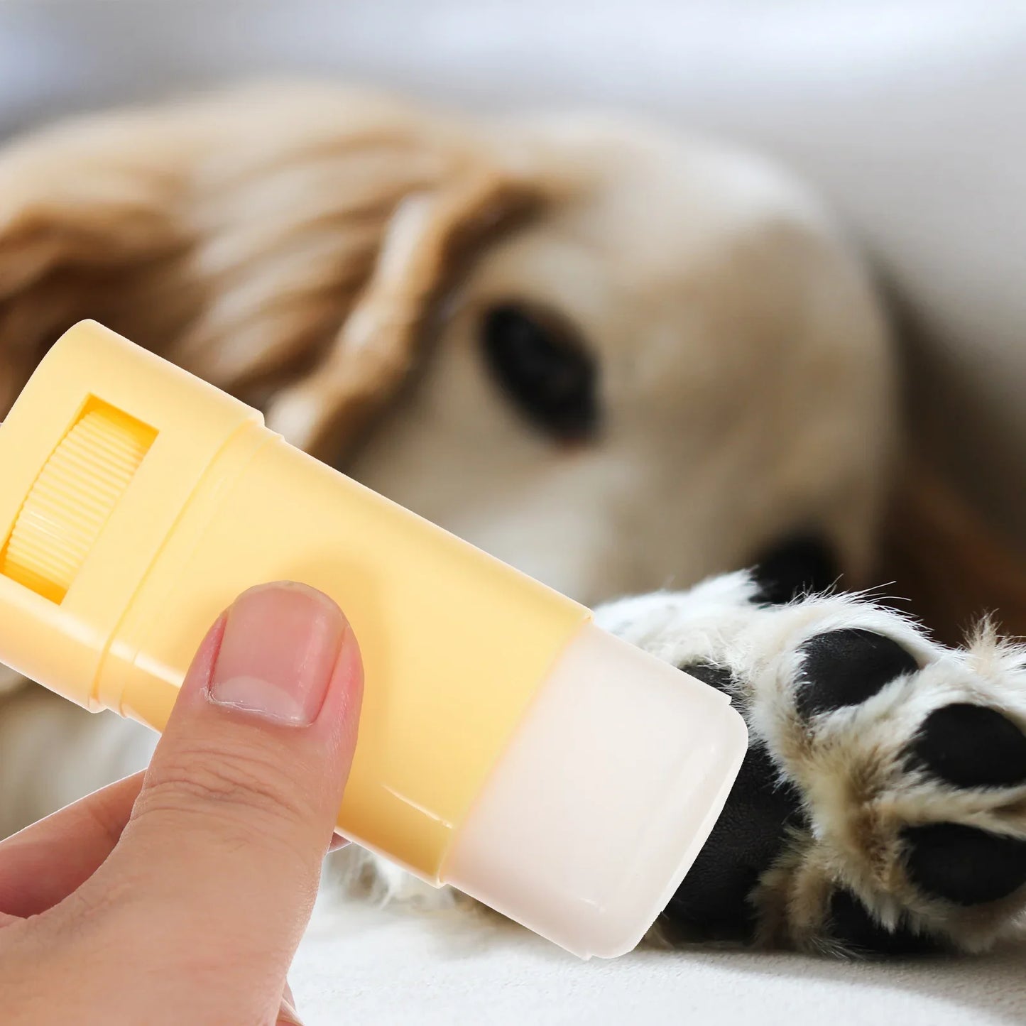 Paw Balm Moisturizer: Winter Care, Dog Foot Cream, Cat Supplies