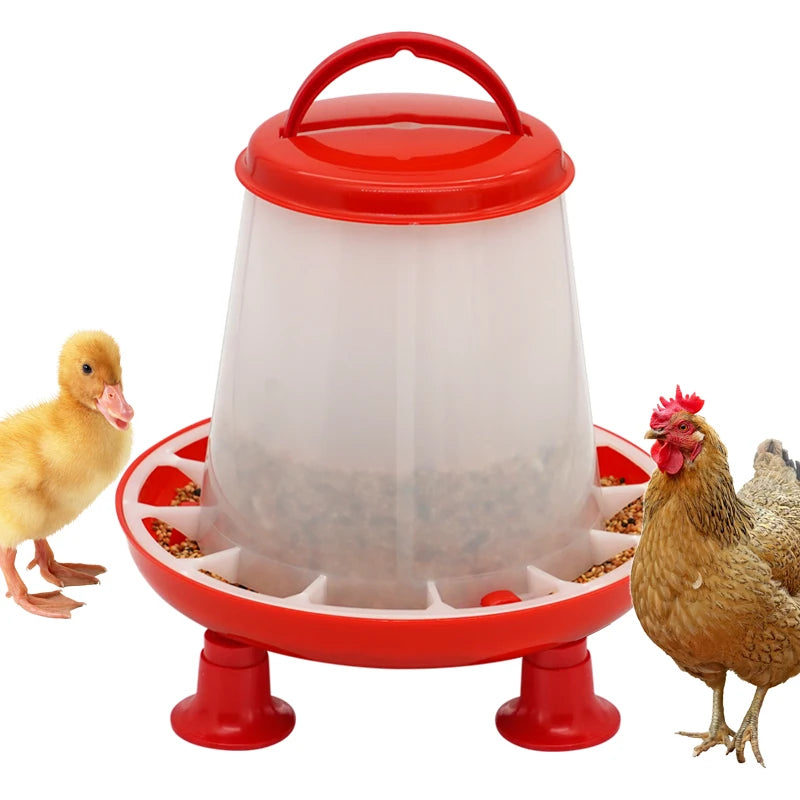 Chicken and Duck Feeder 