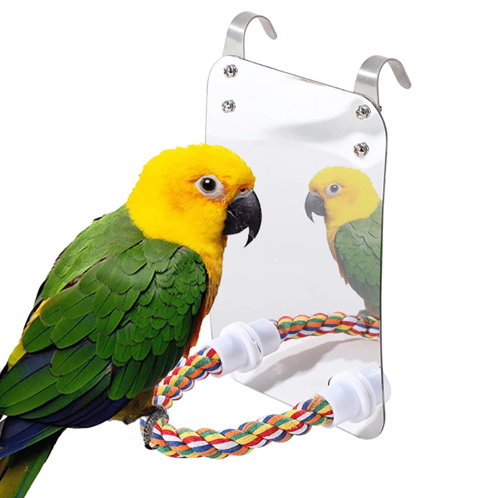 Parrot Toy with Mirror: Acrylic Bird Entertainment