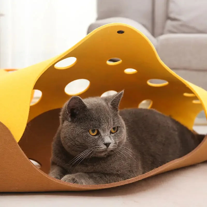 Fitness Cat Toy: Interactive tunnel bed for cats.