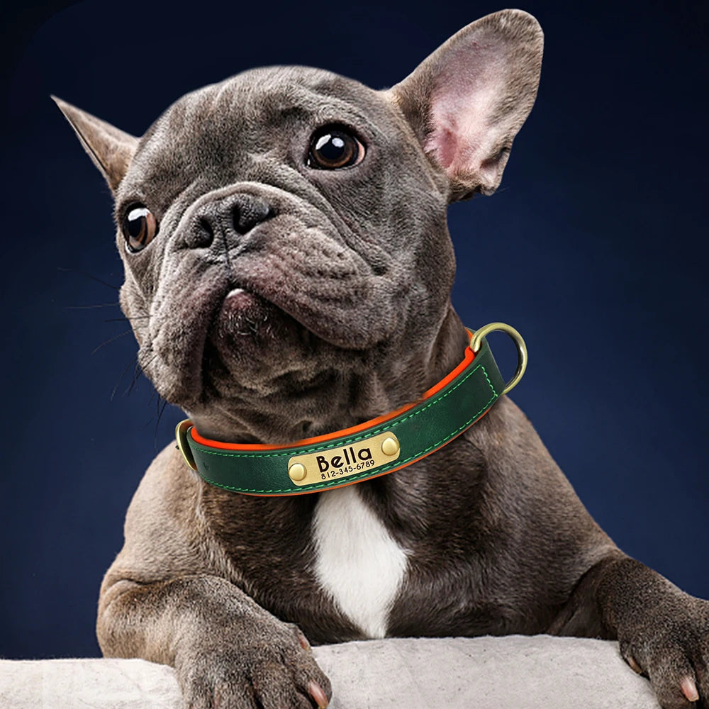 Custom Pet Collar: Personalized, stylish, for dogs and cats.