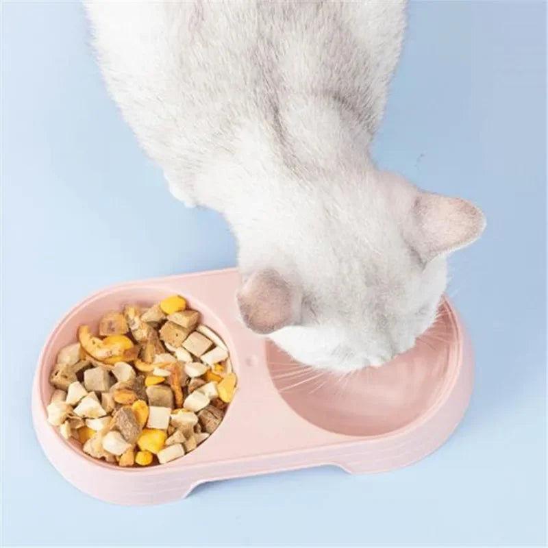 Double Pet Bowls: No-spill resin station, premium feeder for cats and dogs.