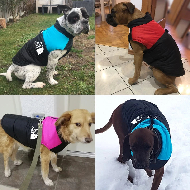 Waterproof Warm Dog Clothes: Winter vest for dogs.