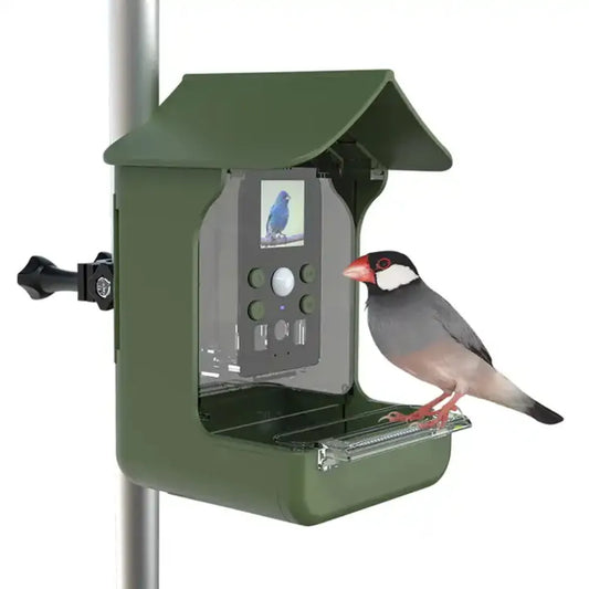 Outdoor Garden Waterproof Bird Feeder: Wildlife Gazebo, Accessories