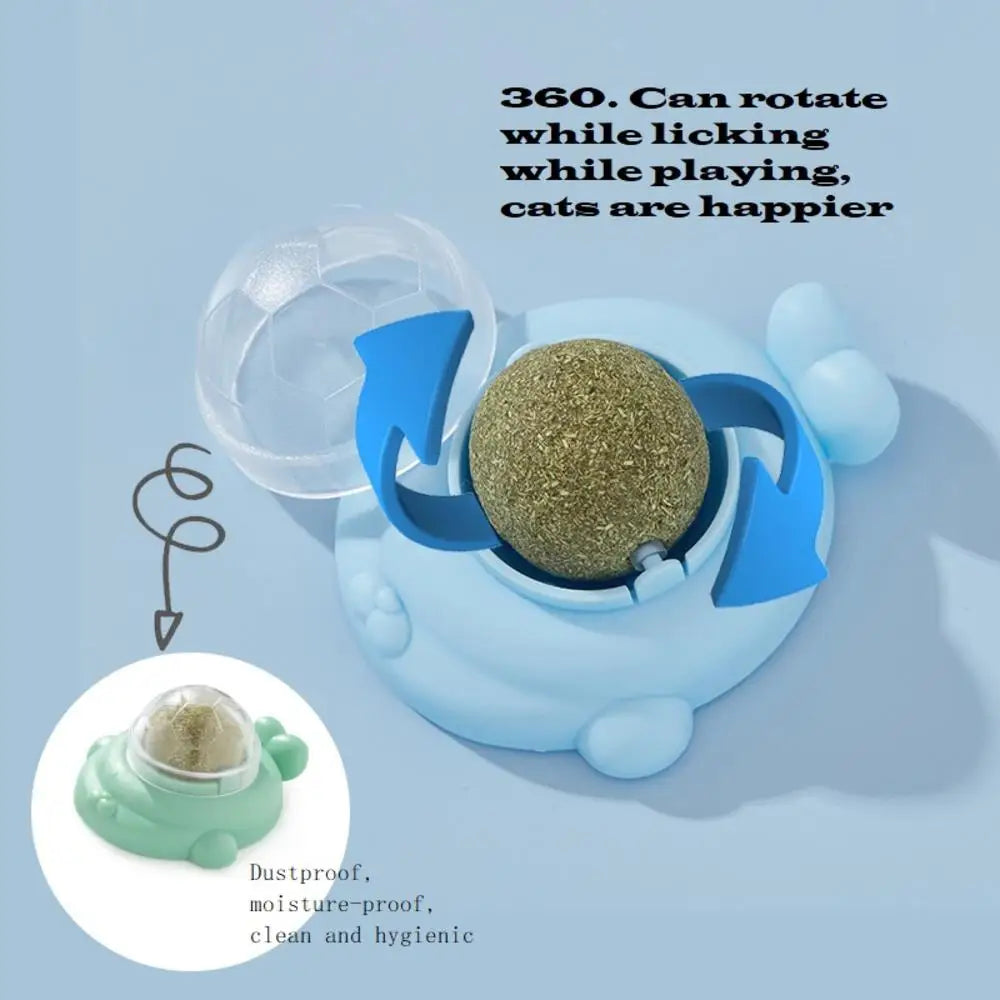 Catnip Wall Ball: Healthy Nutrition, Teeth Cleaning Cat Toy