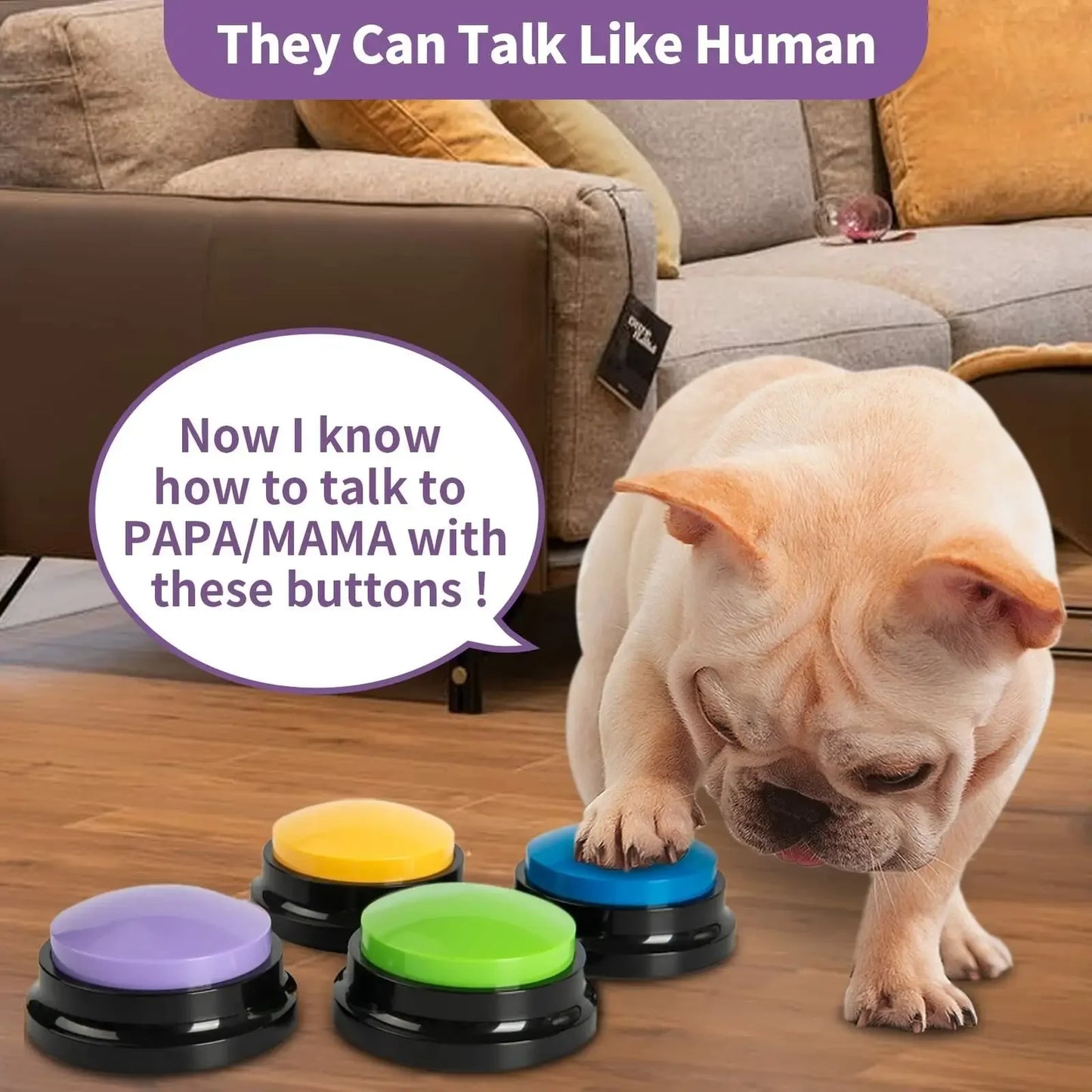 Pet Sound Button: Talking Toy, Recording Device, Training Aid