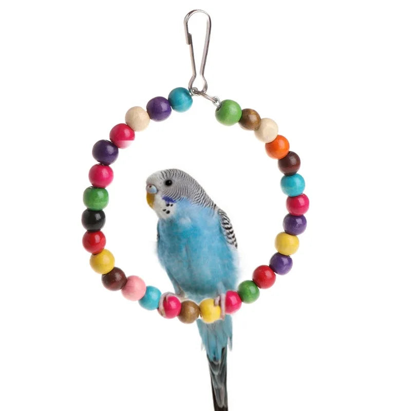 Colorful Swing Parrot Toy: Bird Stand, Squirrels Supplies, Accessories