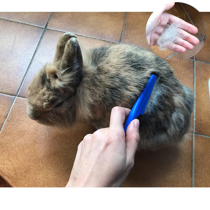 Grooming Brush: Keep Your Pet's Coat Shiny and Tangle-Free!