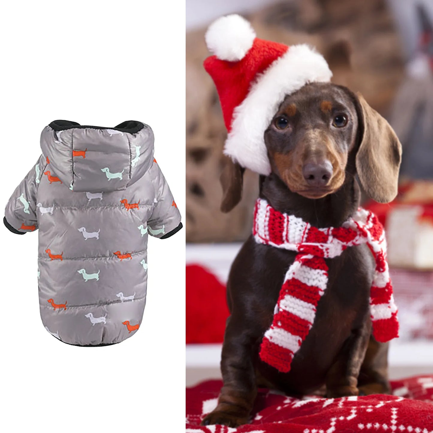 Large Dog Dress: Fashionable Clothing for Your Pet!