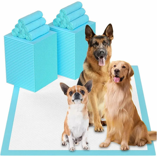 Super Absorbent Diapers: Keep Your Pet Clean and Dry!