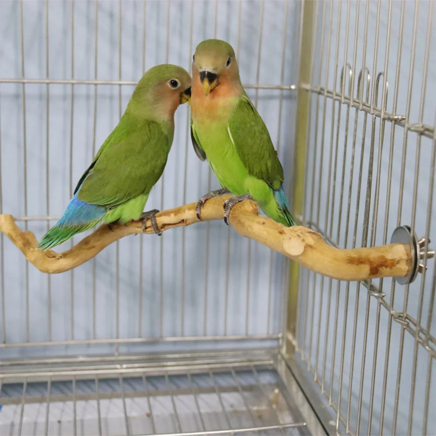 Parrot Perch Stand: Paw Grinding, Climbing, Birdcage Accessories