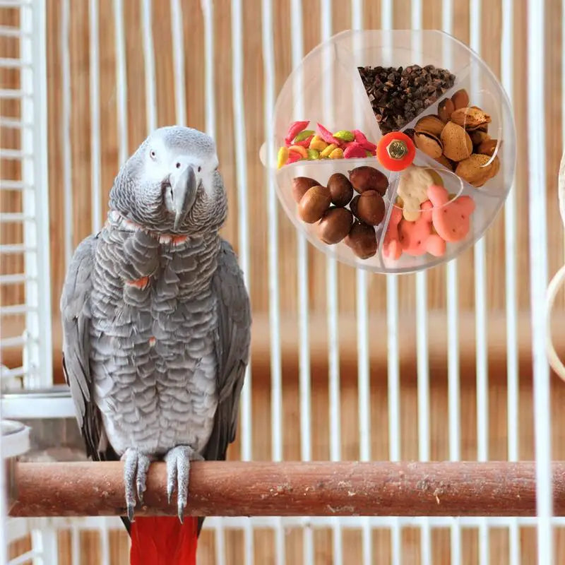 Foraging Bird Toy: Stimulate Your Bird's Natural Instincts!