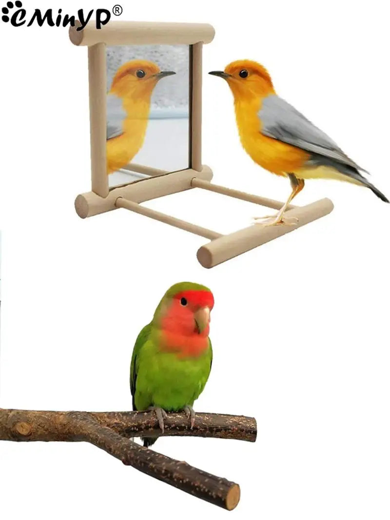 Bird Toy: Keep Your Bird Entertained and Active!