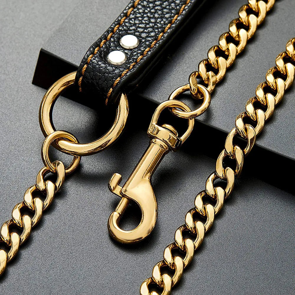 Explosion-proof Gold Leash: Leather, Stainless Steel Chain