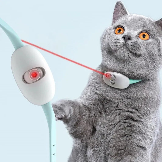 Laser tease cat collar: USB charging, automatic entertainment for kittens.