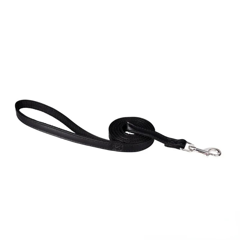 Pet Leash: Super Soft Handle, Heavy-Duty Nylon, Daily Use.