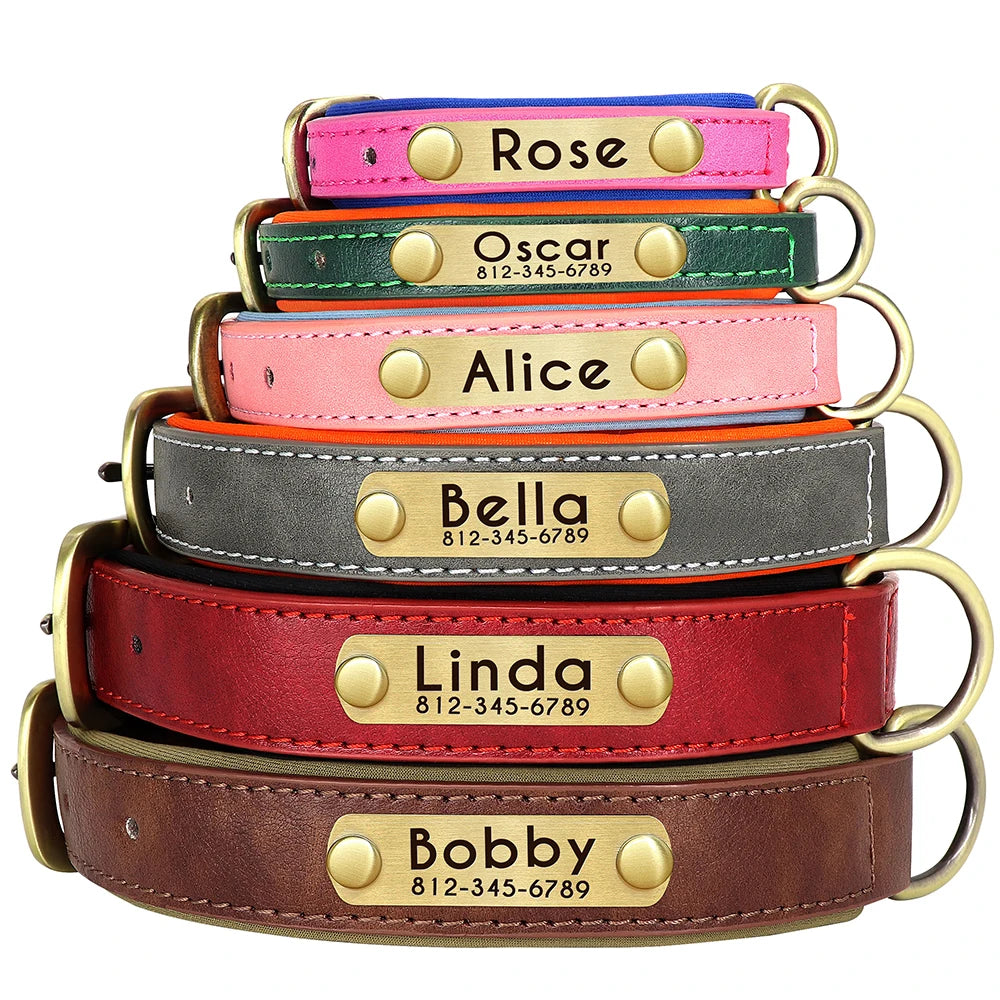 Custom Pet Collar: Personalized, stylish, for dogs and cats.