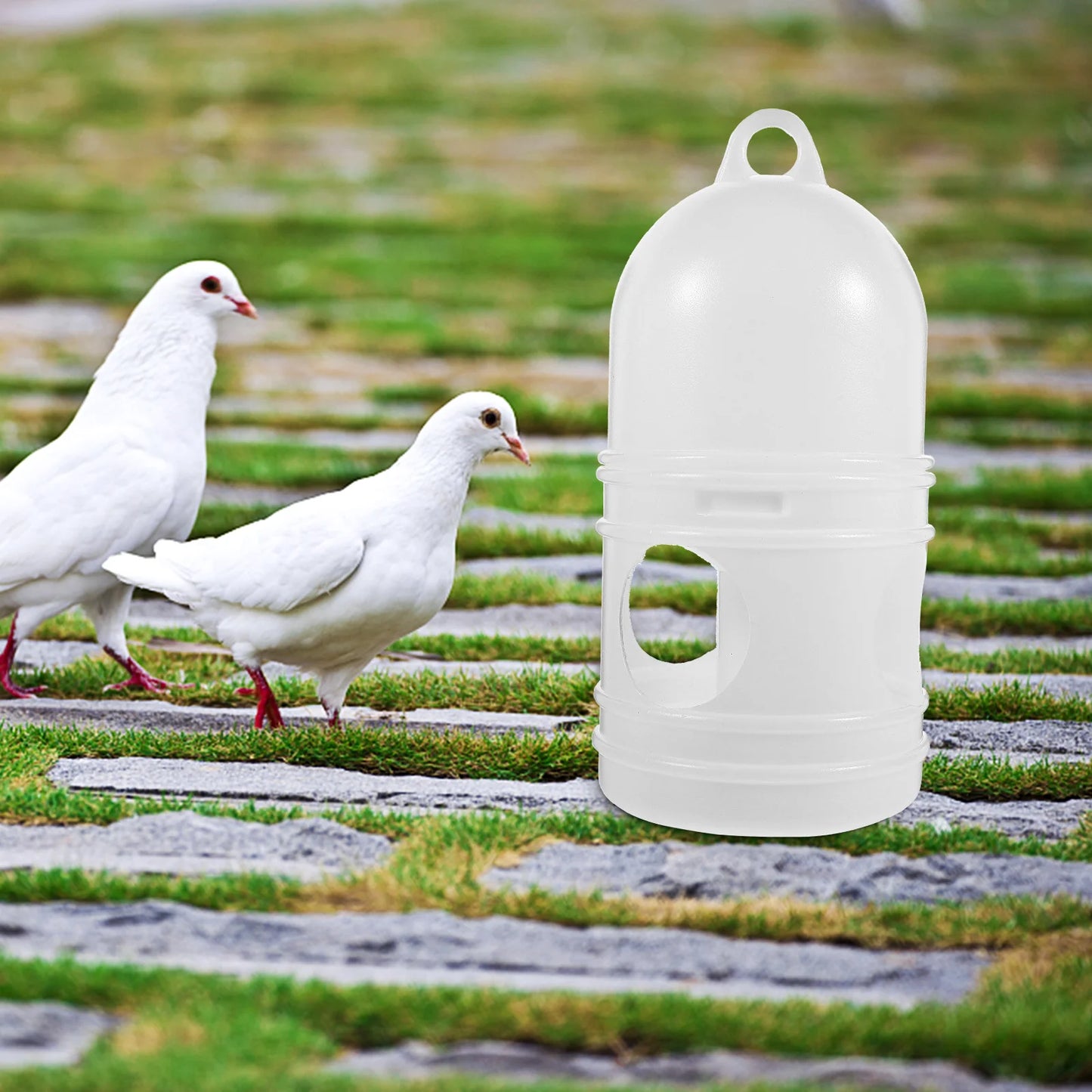 Pet Drinker Pot: Convenient Watering Solution for Your Pets!